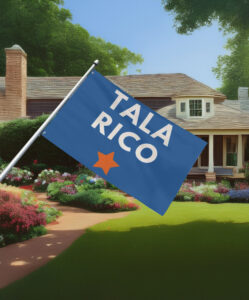 Vote James Talarico for Senate Election Flag