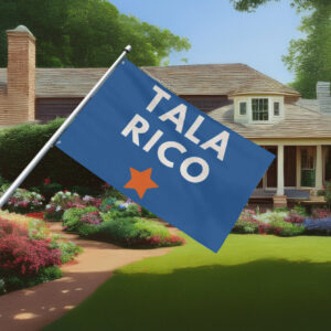 Vote James Talarico for Senate Election Flag