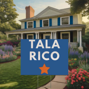 Vote James Talarico for Senate Election Yard Sign