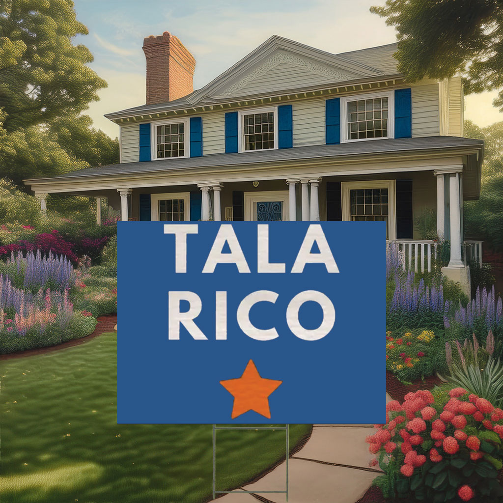 Vote James Talarico for Senate Election Yard Sign