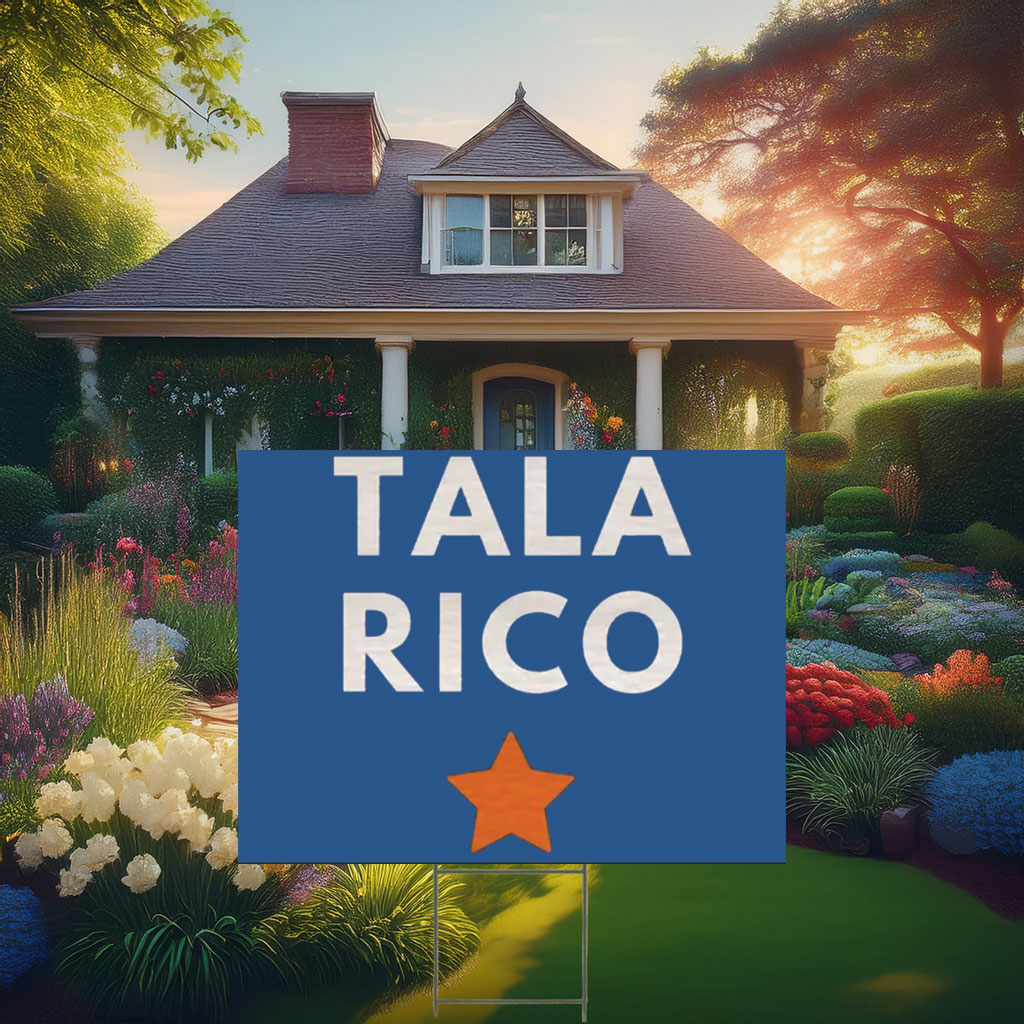 Vote James Talarico for Senate Election Yard Sign