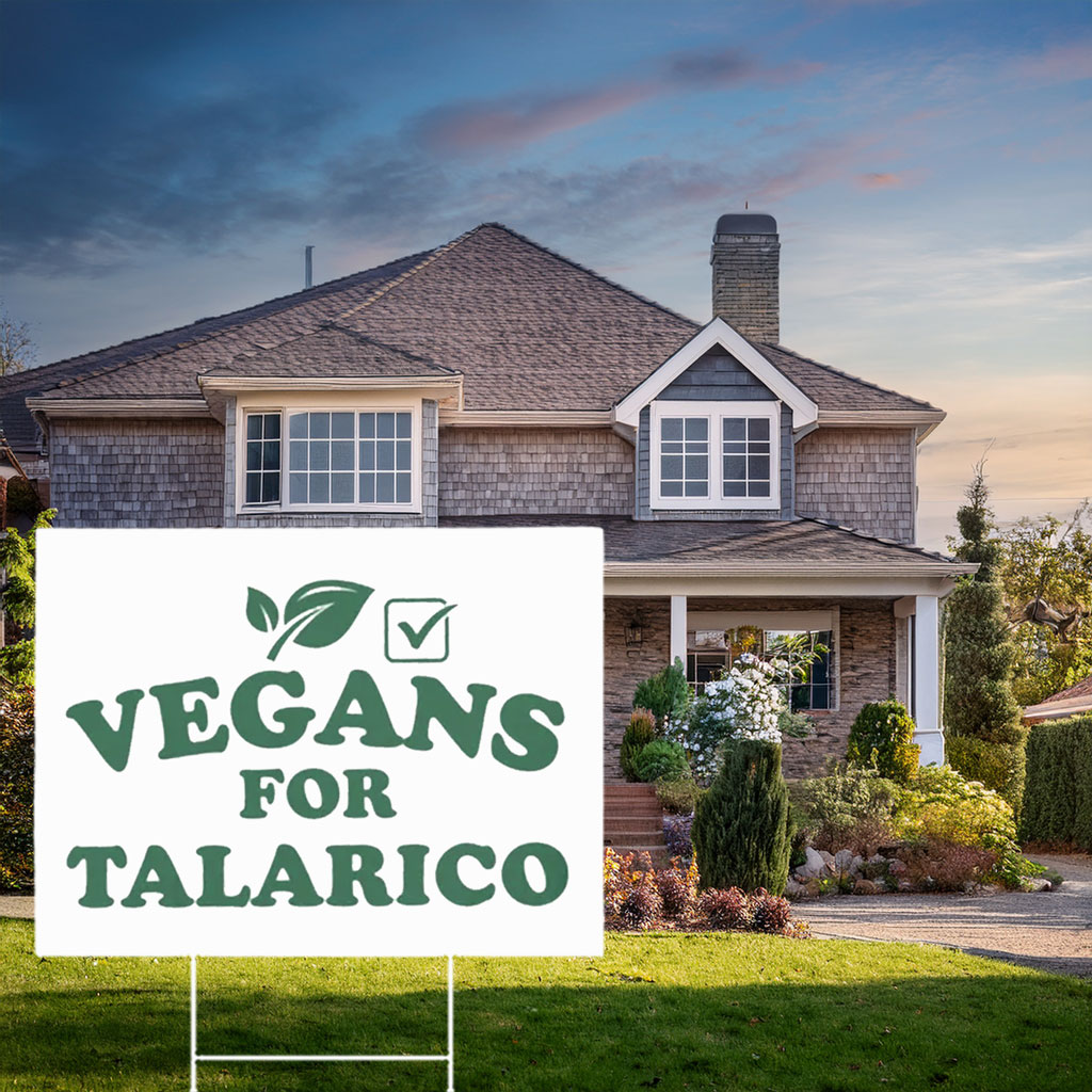 James Talarico For Texas US Senate 2026 Yard Sign