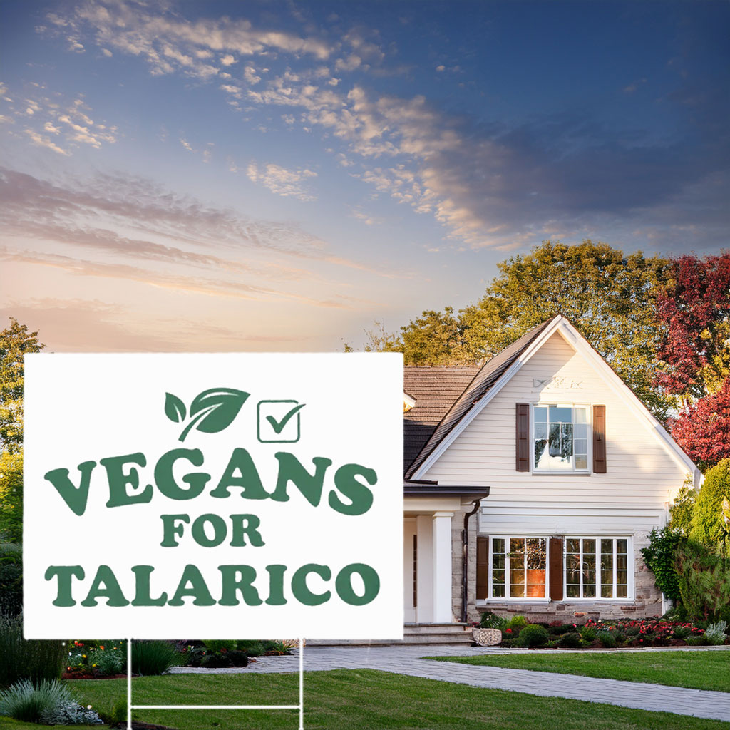 James Talarico For Texas US Senate 2026 Yard Sign