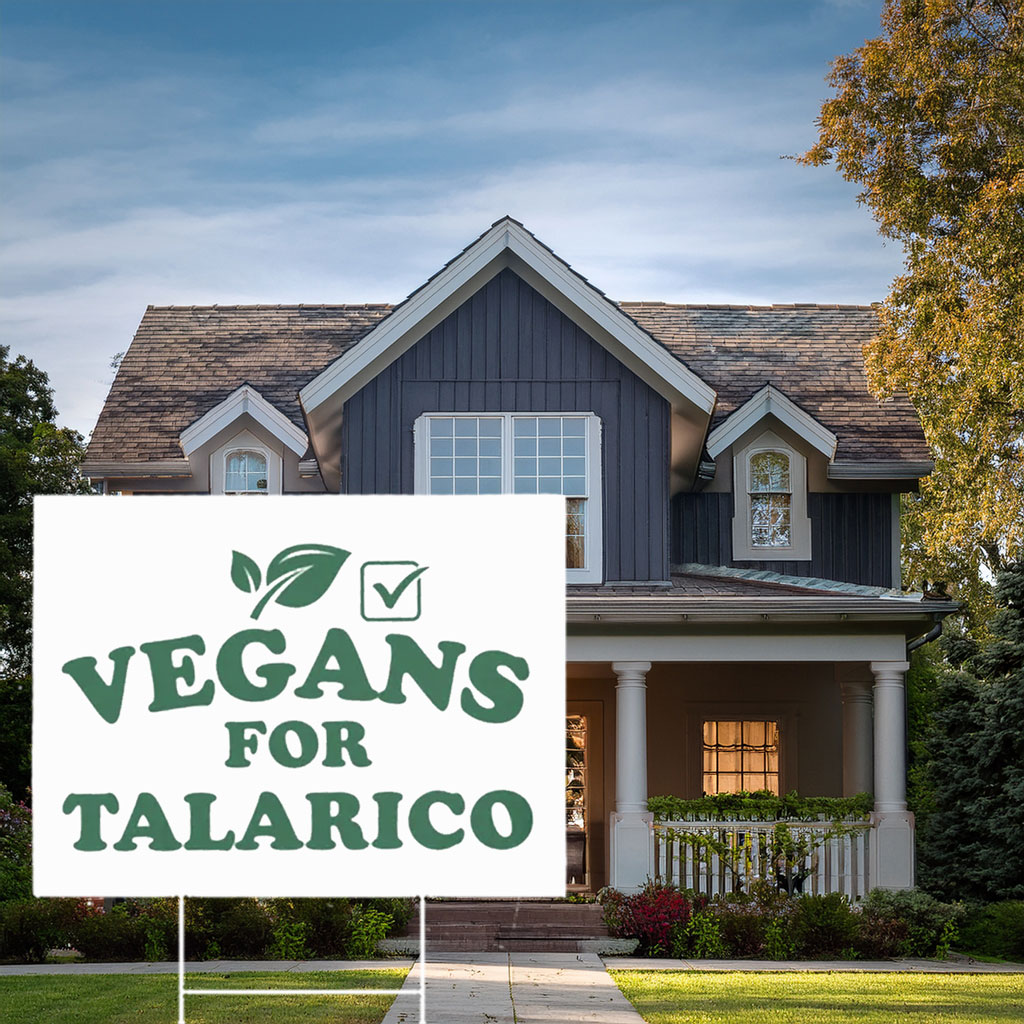 James Talarico For Texas US Senate 2026 Yard Sign