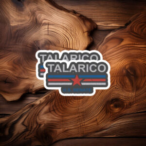 Classic Slate Distressed Election Vinyl - James Talarico sticker
