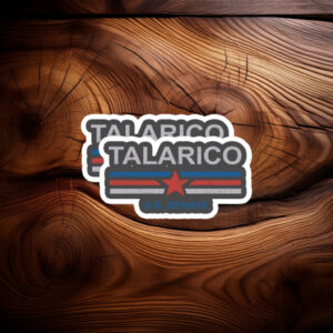 Classic Slate Distressed Election Vinyl - James Talarico sticker