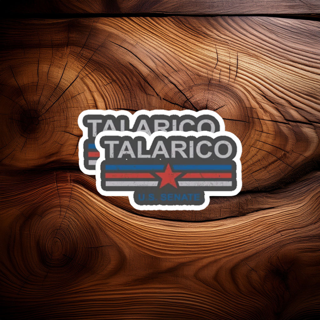 Classic Slate Distressed Election Vinyl - James Talarico sticker