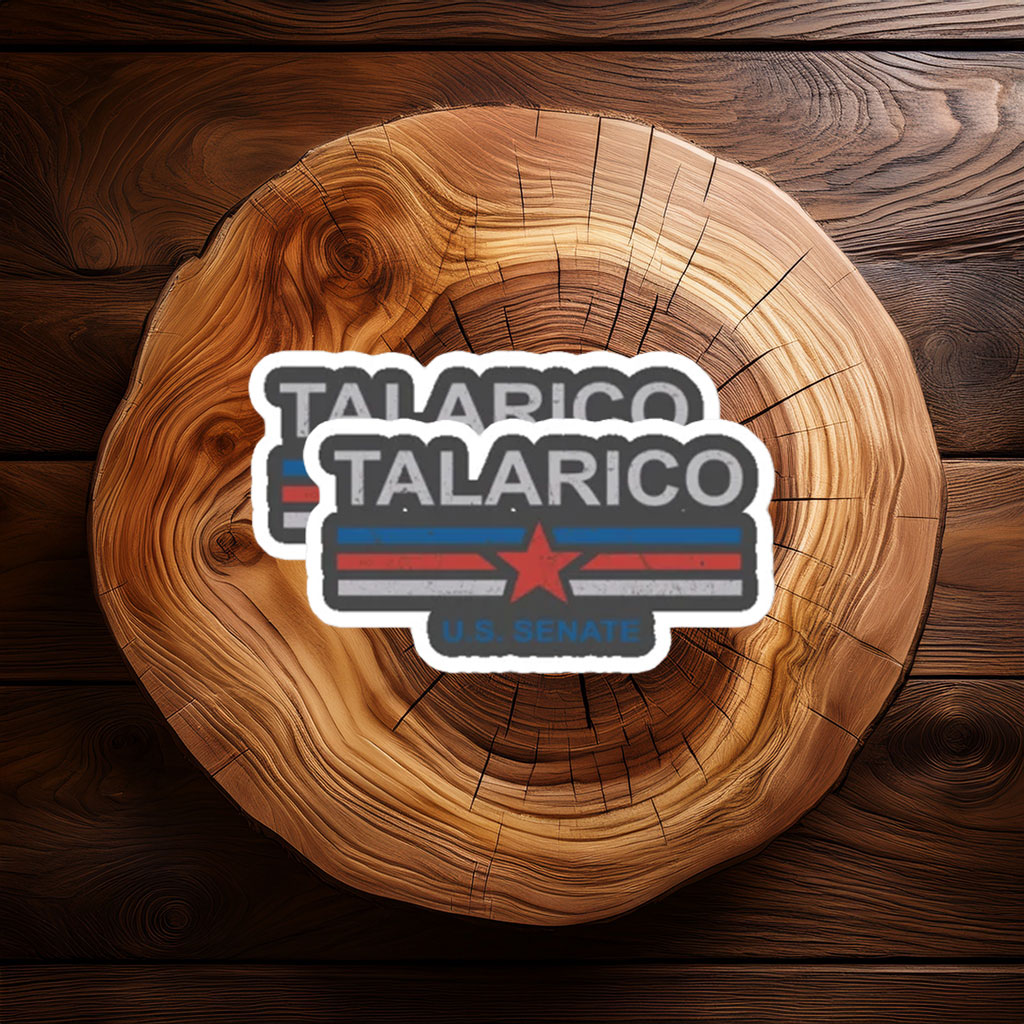 Classic Slate Distressed Election Vinyl - James Talarico sticker