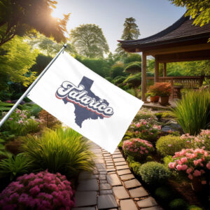 James Talarico 2026 House Flag