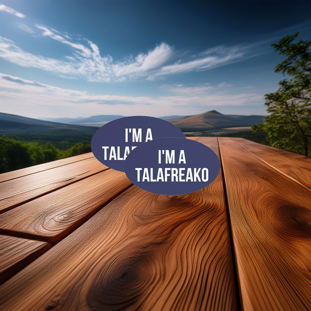 James Talarico Support Supporter Car Magnet