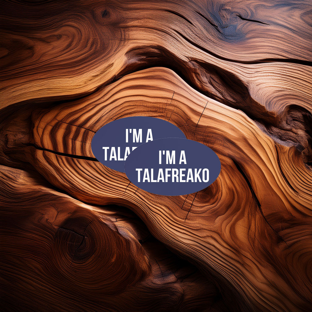 James Talarico Support Supporter Car Magnet