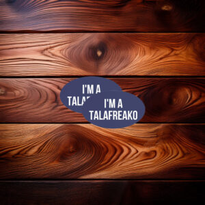 James Talarico Support Supporter Car Magnet