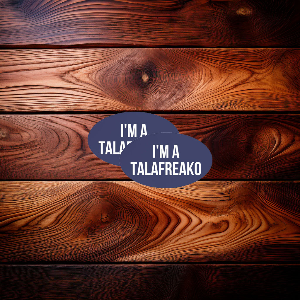 James Talarico Support Supporter Car Magnet
