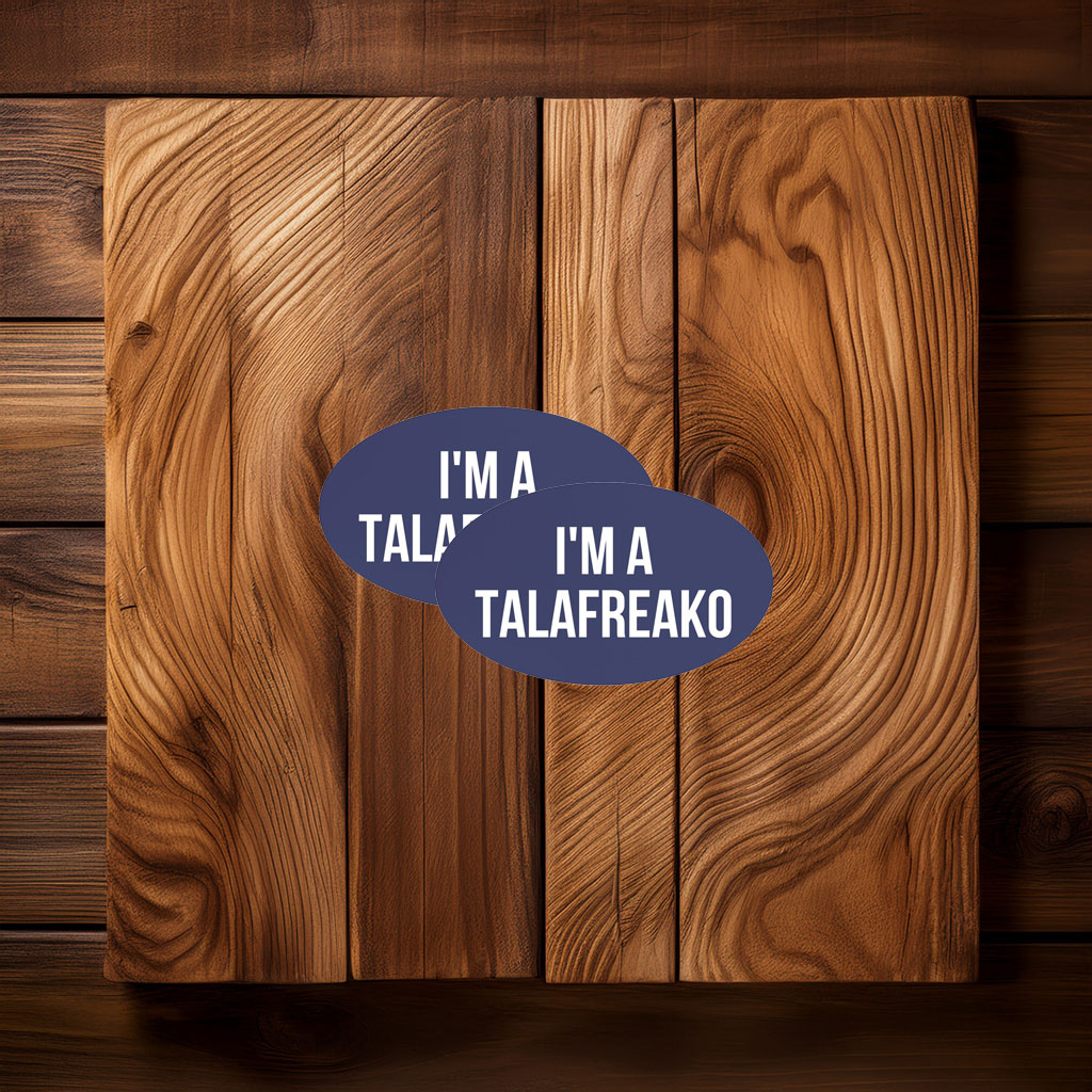 James Talarico Support Supporter Car Magnet