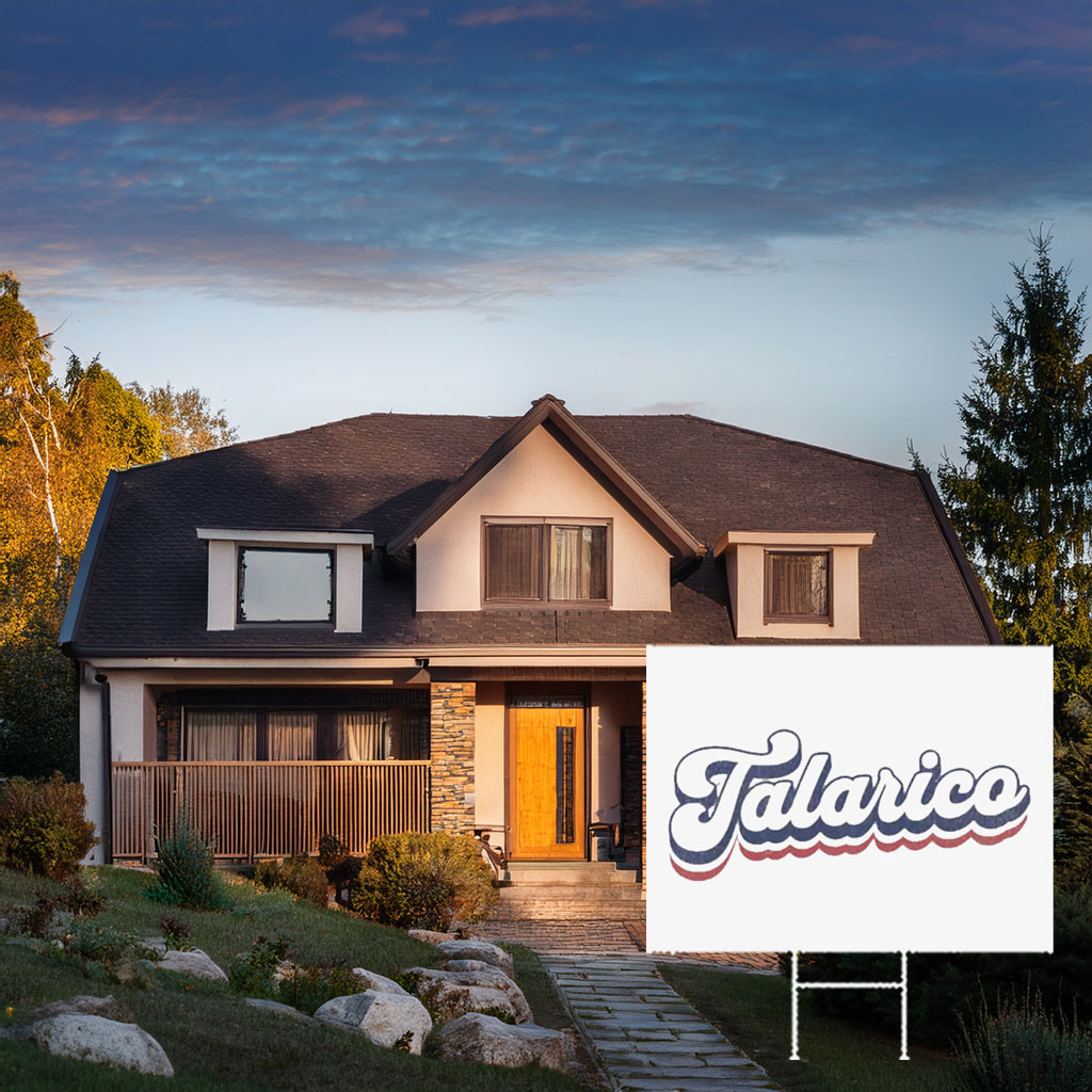 James Talarico Yard Sign