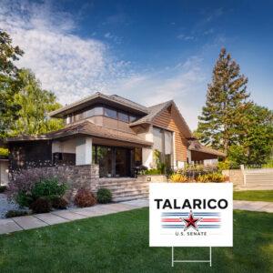 Minimalist White Patriotic Star Voter Board — James Talarico Yard Sign