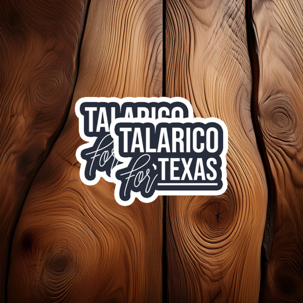 State Election Minimalist Quote Merch — James Talarico Sticker