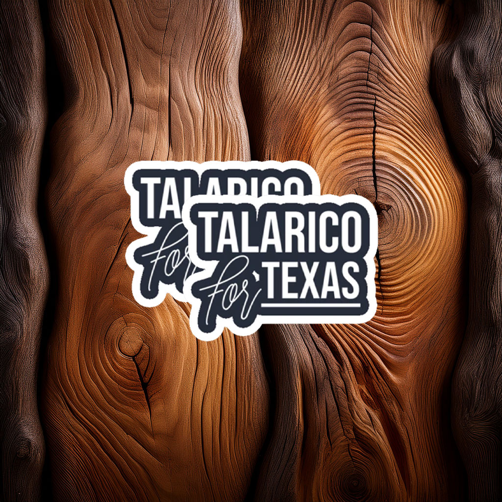 State Election Minimalist Quote Merch — James Talarico Sticker