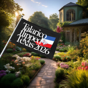 Talarico Flipped Texas 2026 Flag