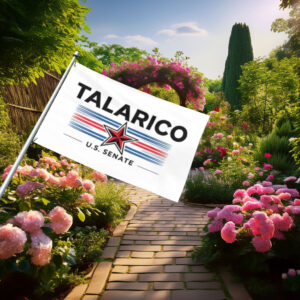 Talarico U.S. Senate Patriotic Star Flag
